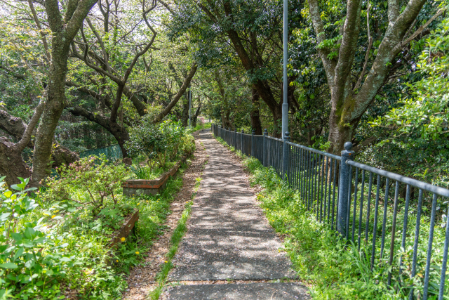 昼でも歩きやすさや暑さを確認します。写真はイメージです。